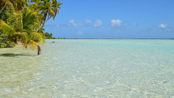 Discover london's literary treasures: engaging guided tours of british literary heritage