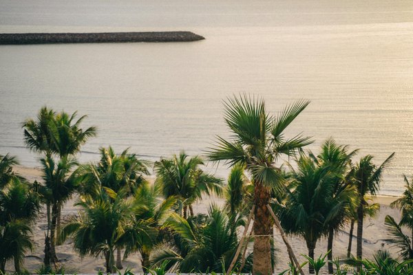 Discover Britain's Famous Literary Landmarks: Premier UK Cruises Featuring Immersive Home Tours